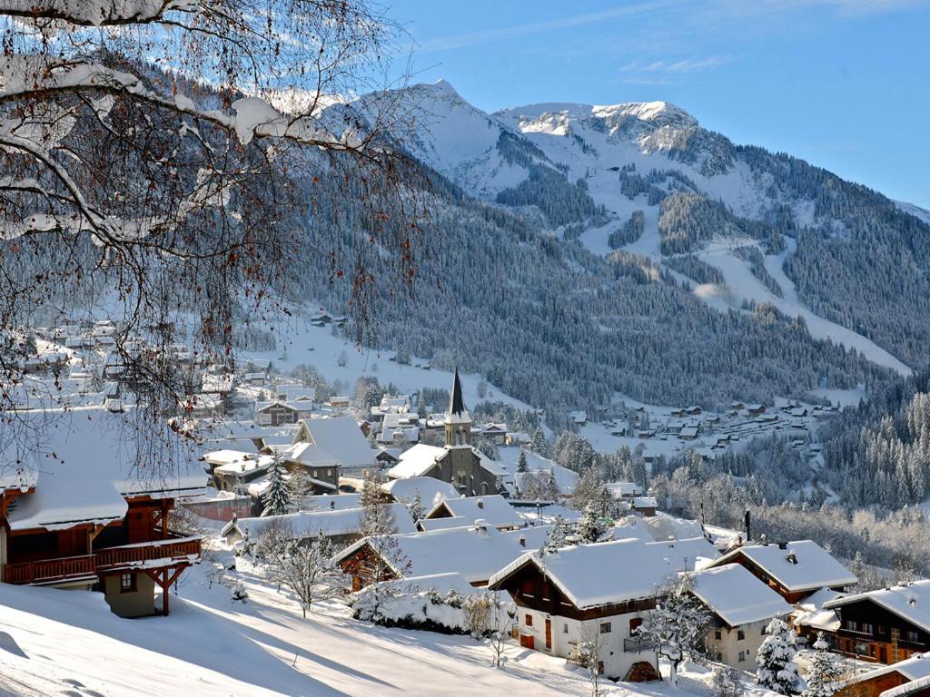 Le Hameau Des 4 Saisons Apartment Chatel Exterior photo
